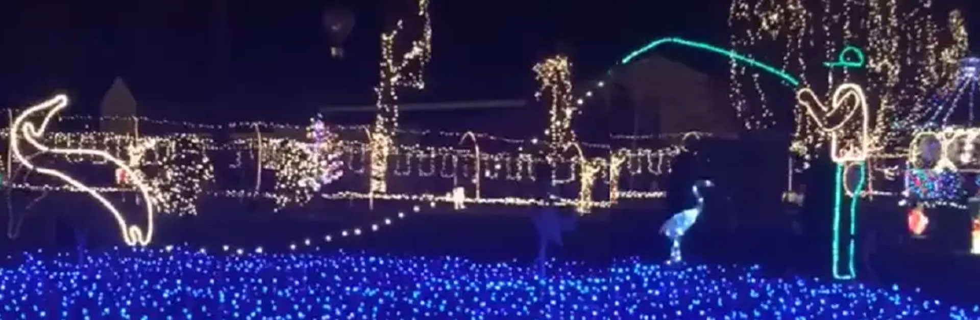 These Might Be The Best Christmas Lights Ever