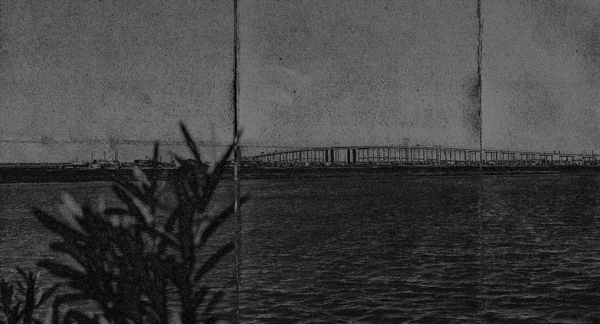 Corpus Christi Texas Reel Summer Fest