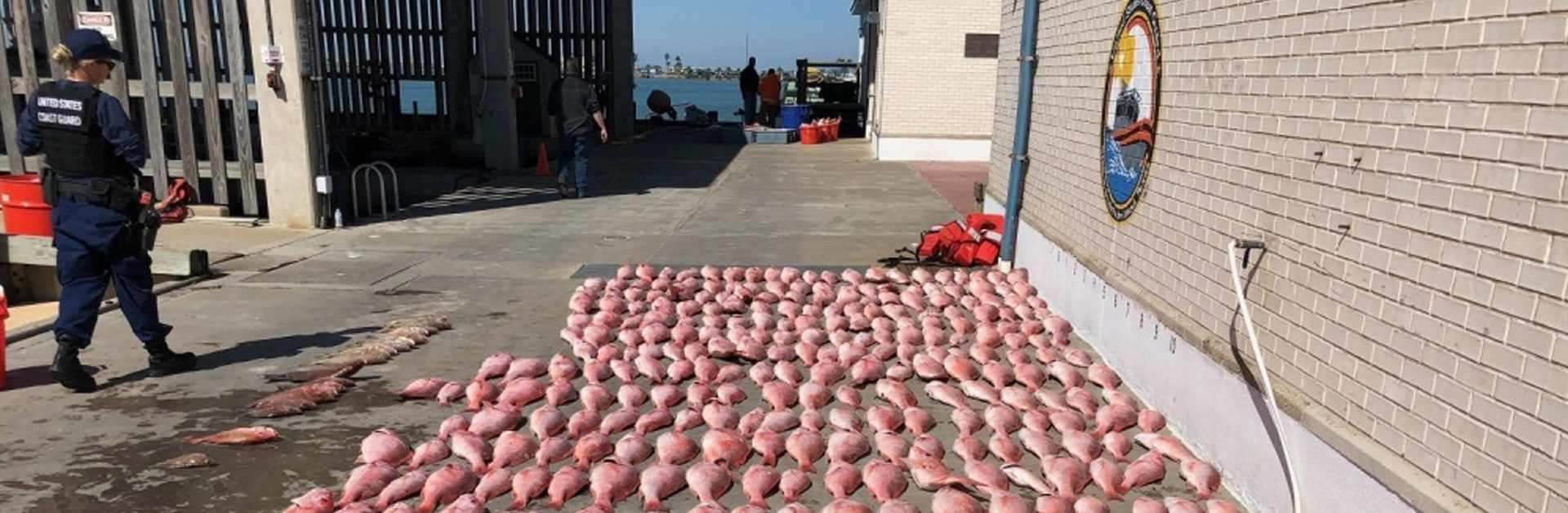 6,186 lbs of Illegal Fish Seized off Corpus Christi Coast