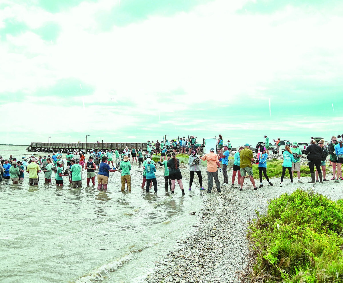 The Harte Research Institute is doing the work most anglers never see — and the fish you chase depend on it. - Harte Research Institute