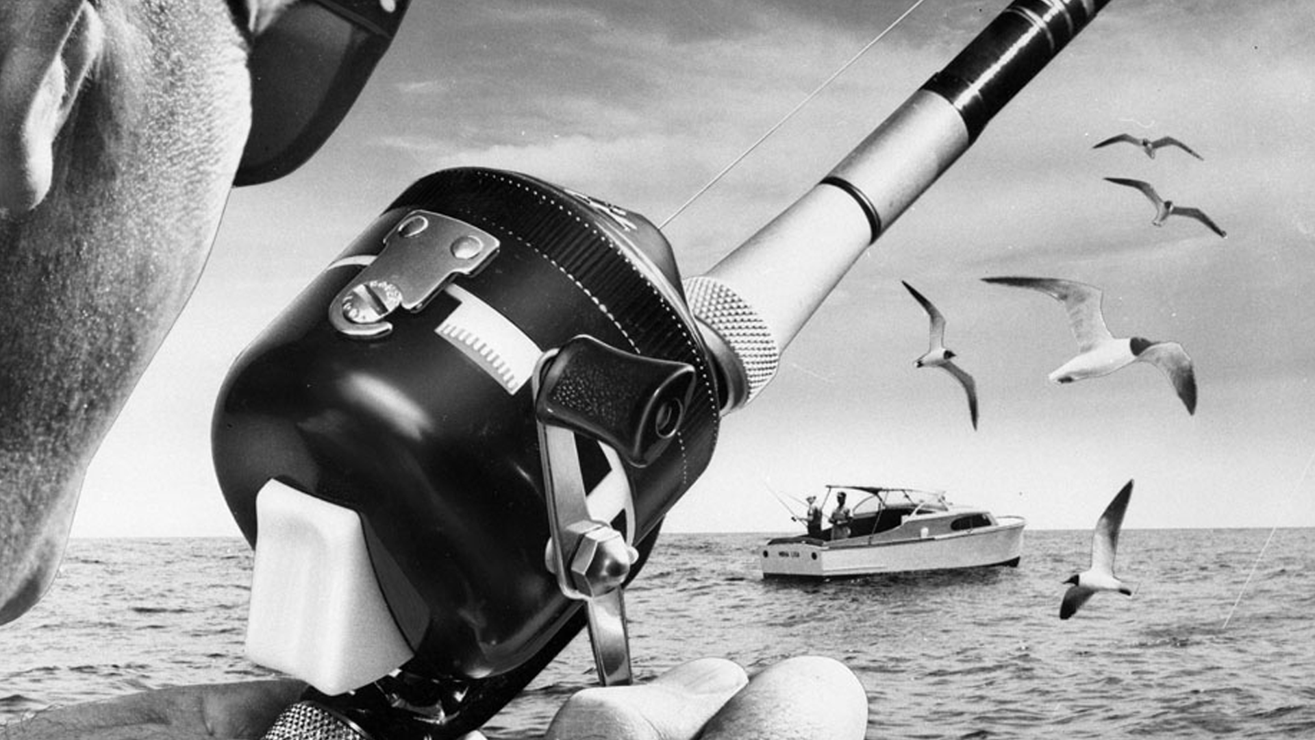 Fishing - Back to the Basics