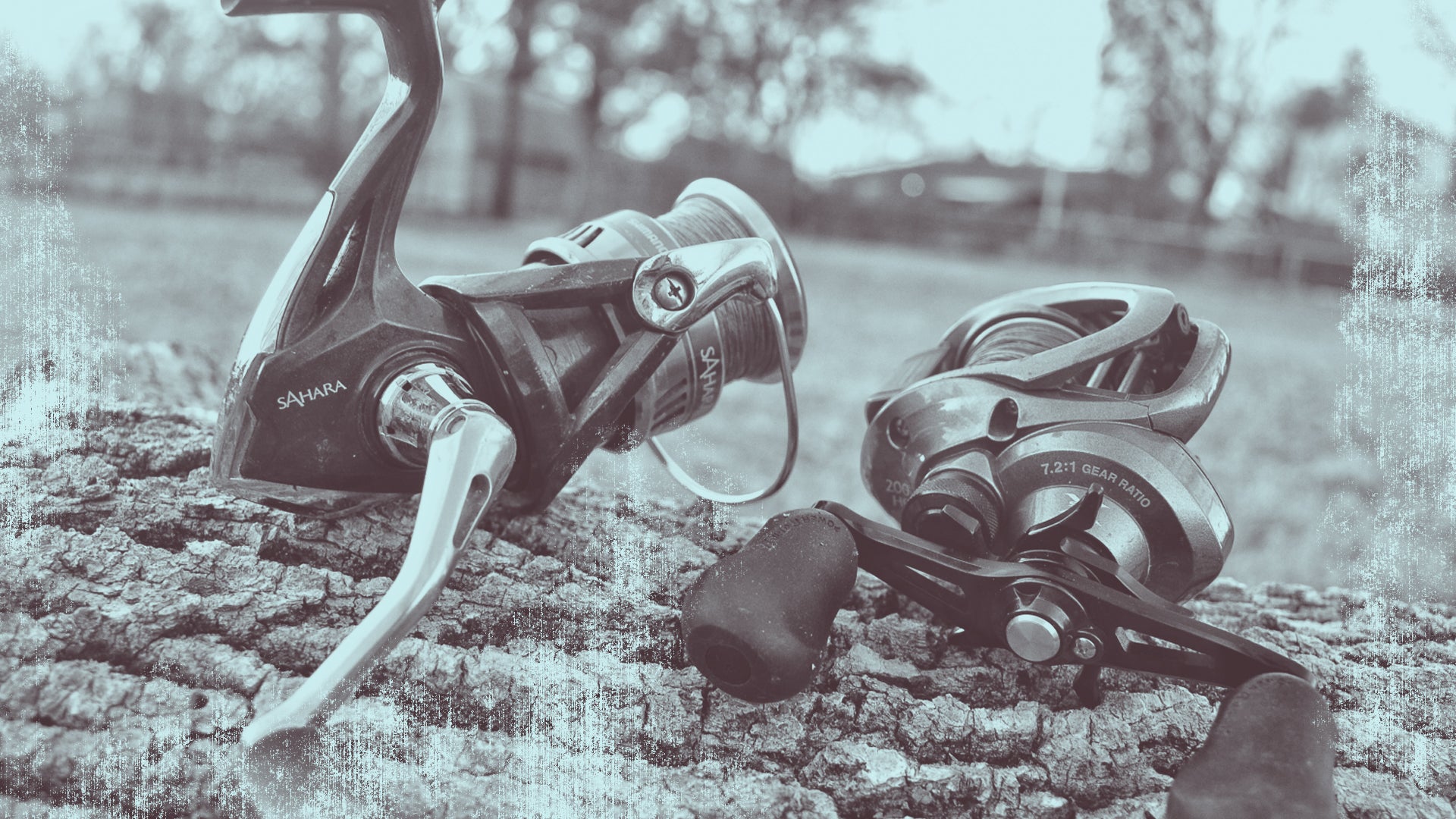 Bait caster VS Spinning Reel