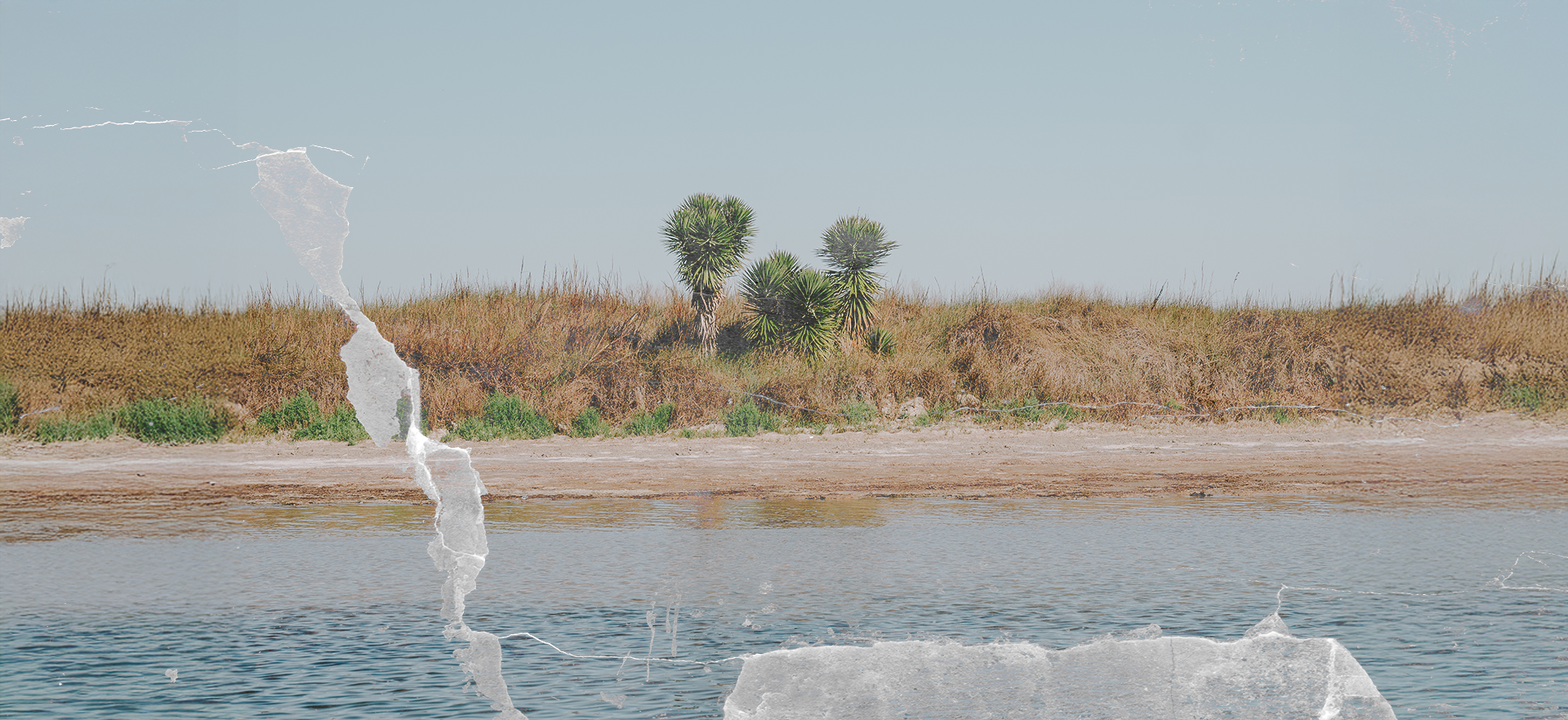 Corpus Christi Desal and the Industrial Shell Game