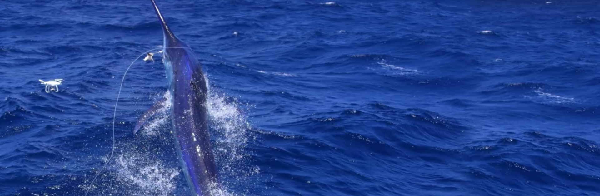 This Epic Black Marlin Footage Is One Of The Coolest Videos You’ll See