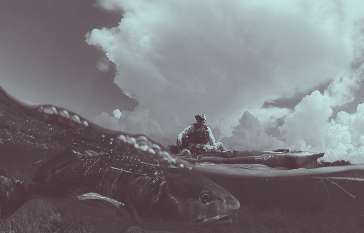 image of man releasing redfish for Fishing conservation in Corpus Christi Texas