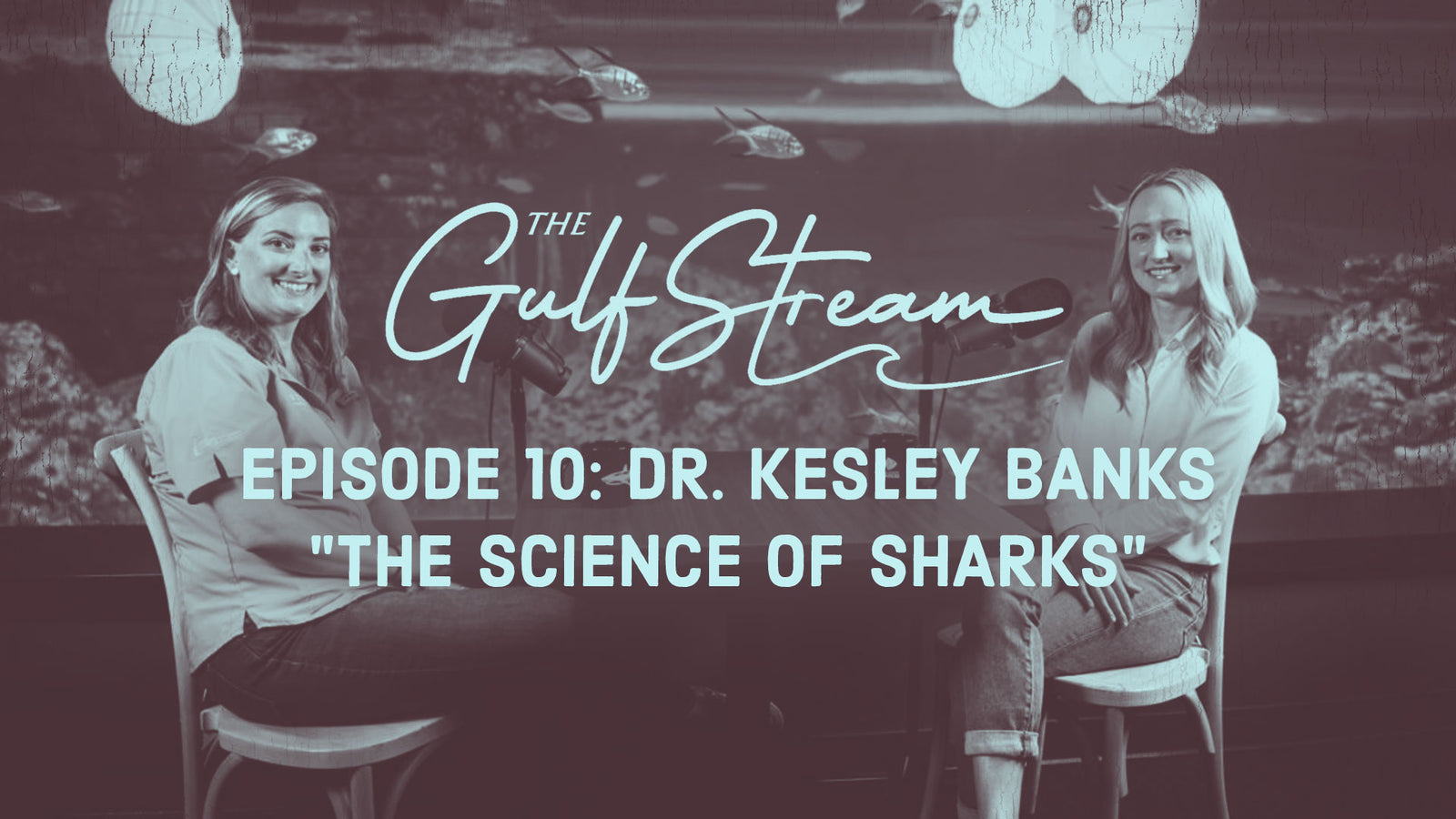 Gulfstream Podcast - TAMUCC Harte Research Institute