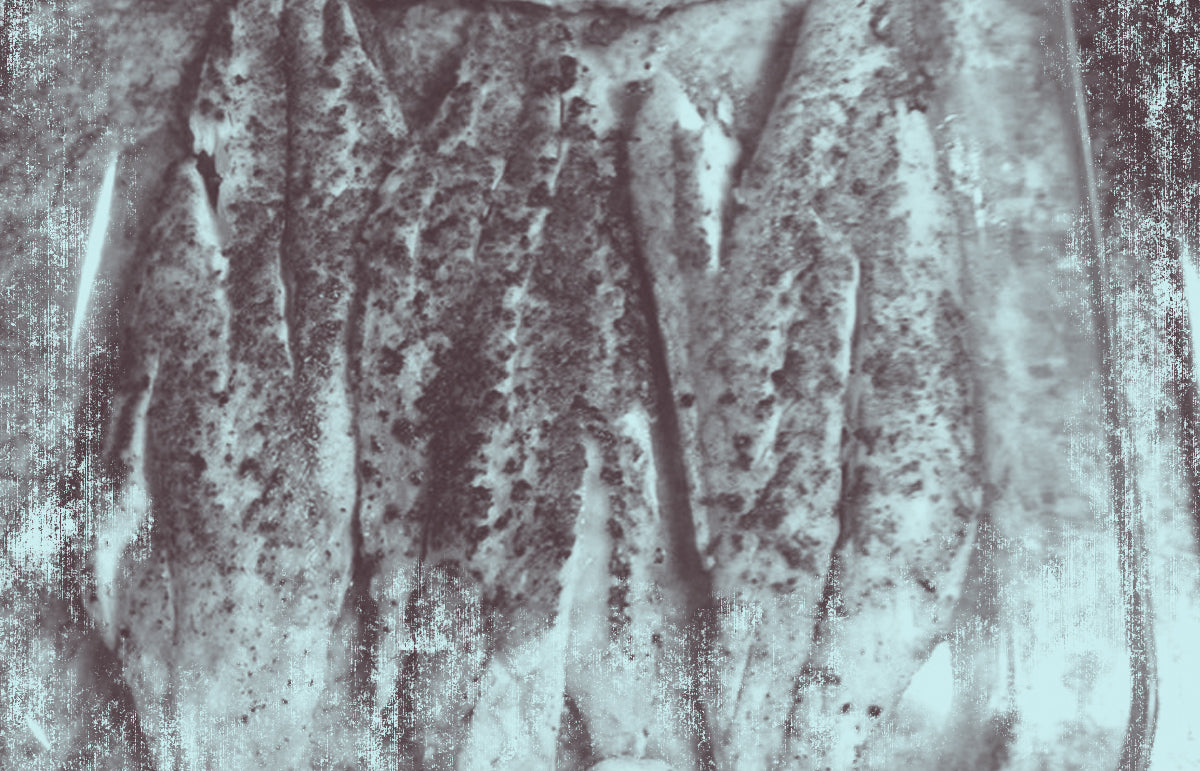 image of smoked texas speckled trout