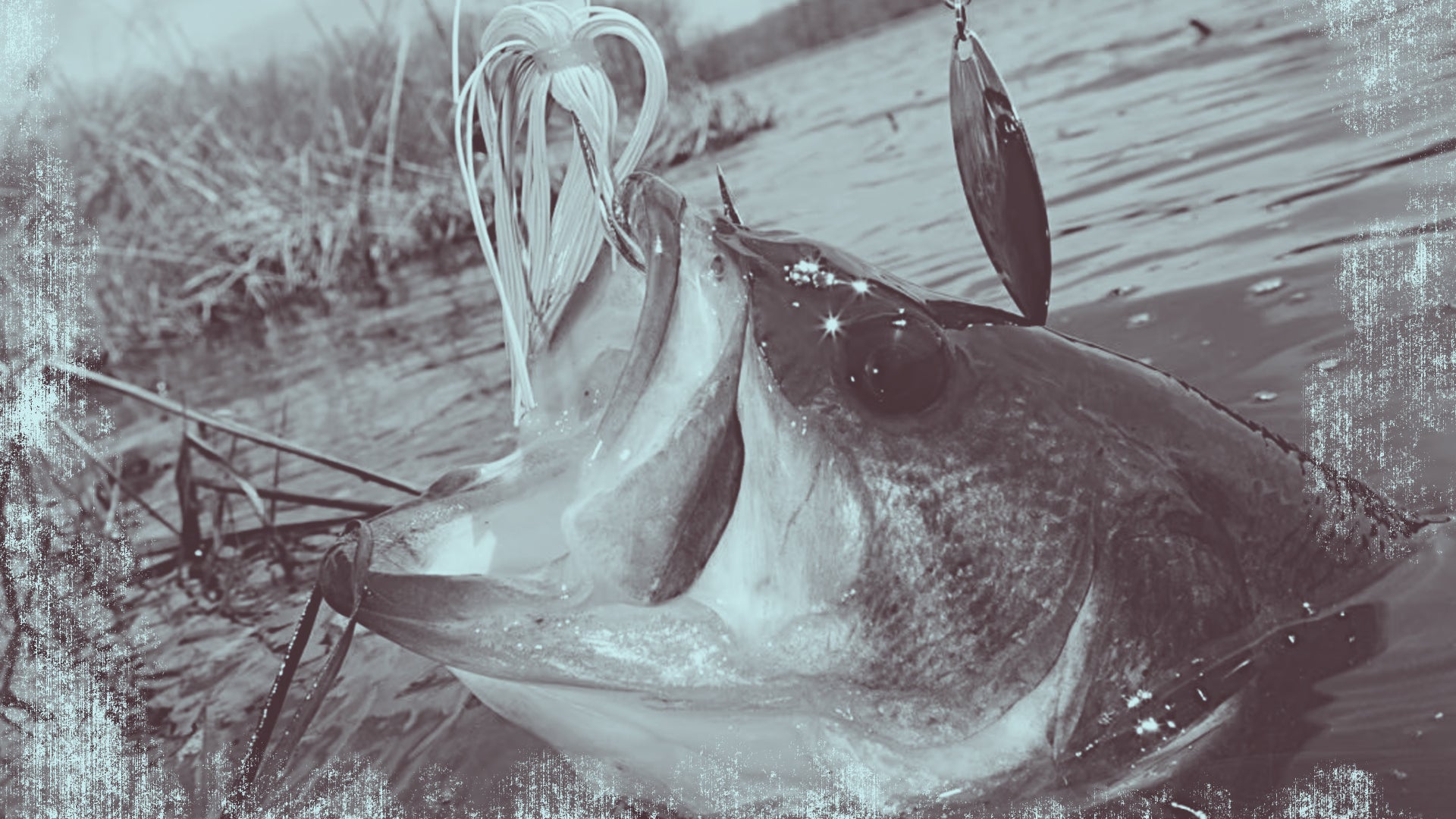 Catch more Bass this Spring