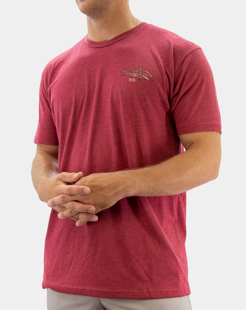 Snapper | Red – Red